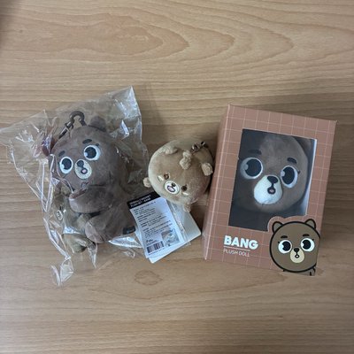 晟鎮🐻卡盤+寫真集+積木組+🐻娃