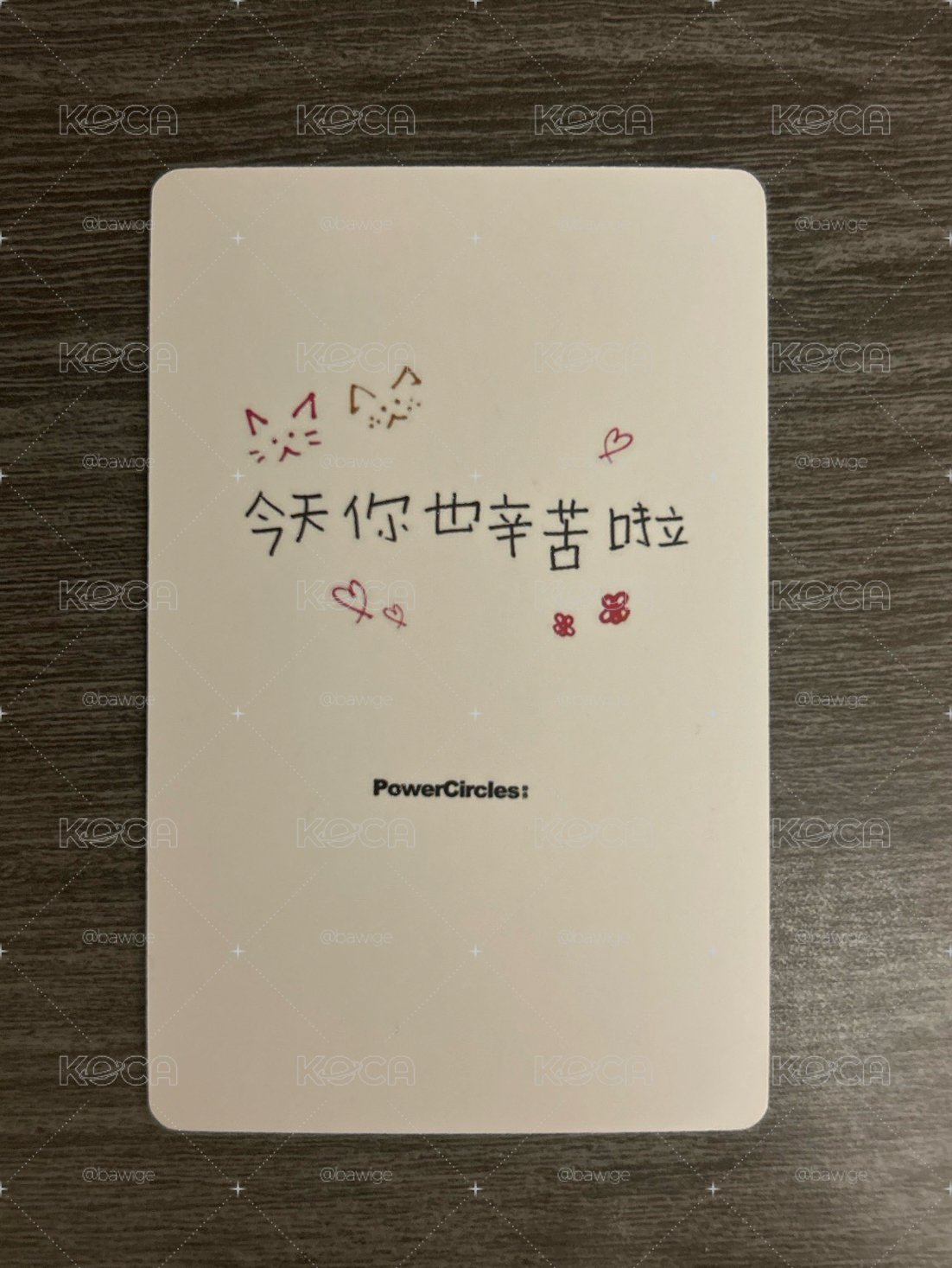 可愛🌰 中文卡背