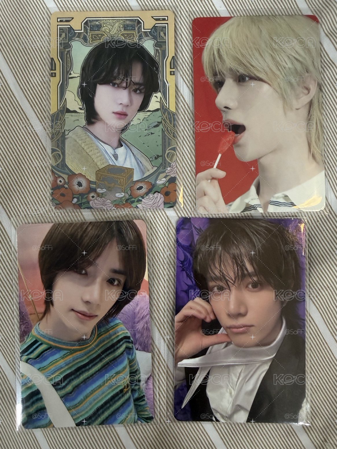 美麗的葵找新家💕