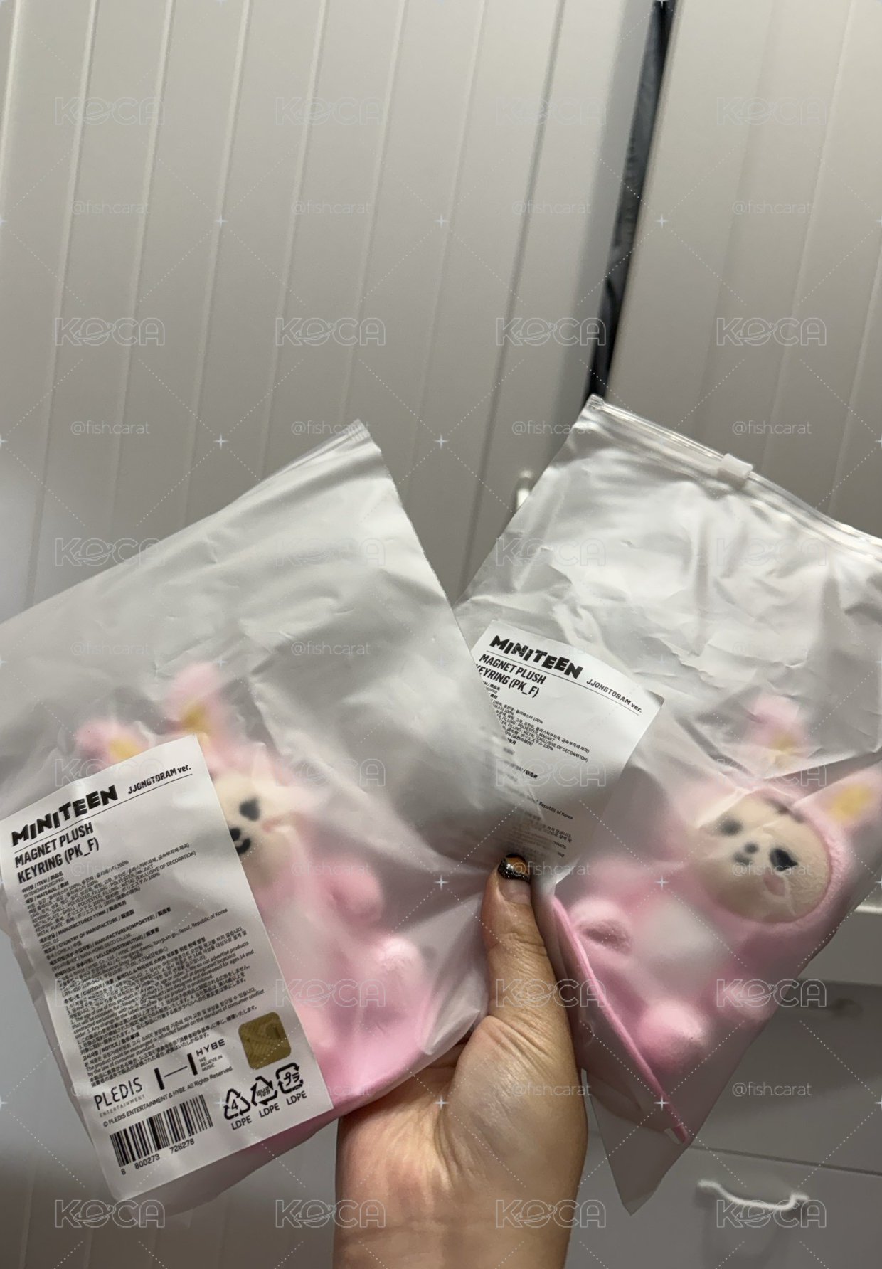 💎嗚哩 兔老大哈尼回歸了🐰🎉
