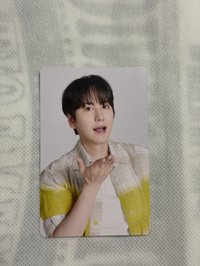 圭