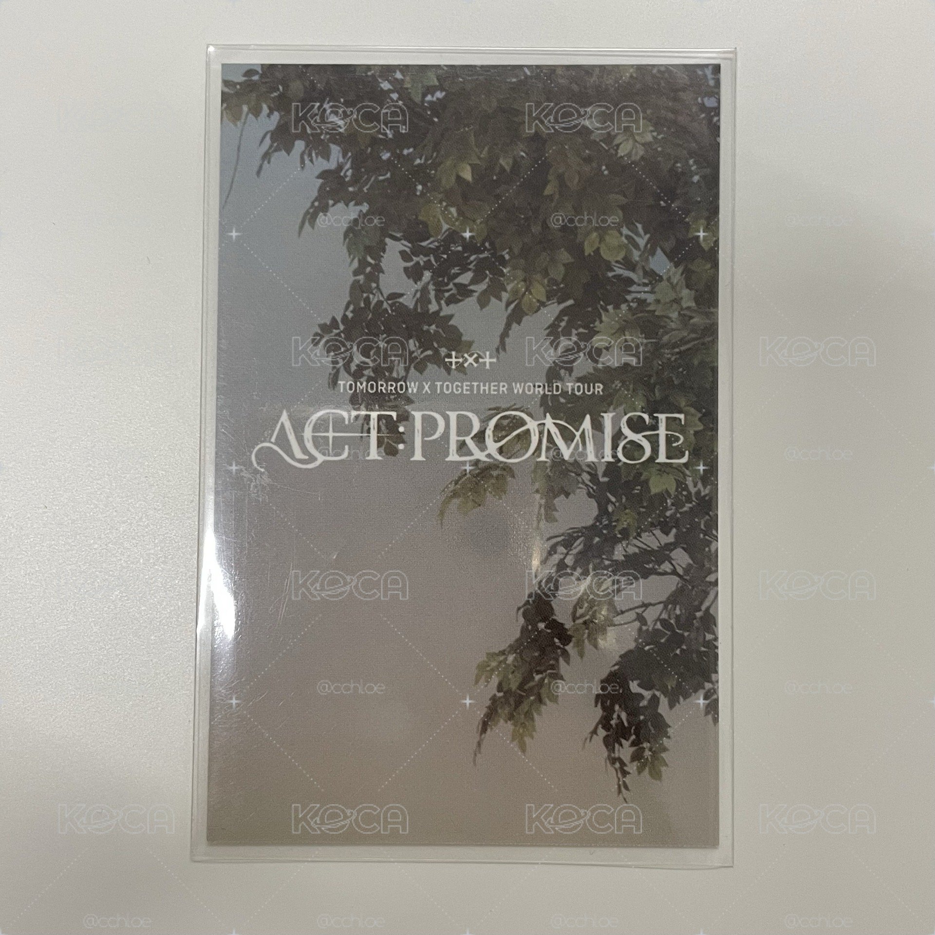 txt act:promise 首爾zone卡 顯