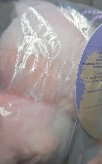 現貨 混色寶寶鍾(顏色如圖)
