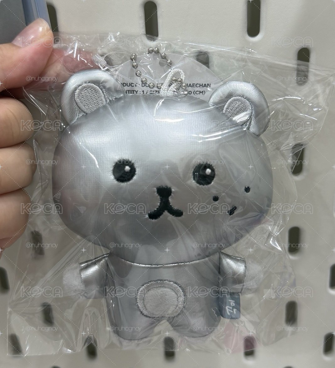 NCT DREAM TD4 安可周邊太空🐻