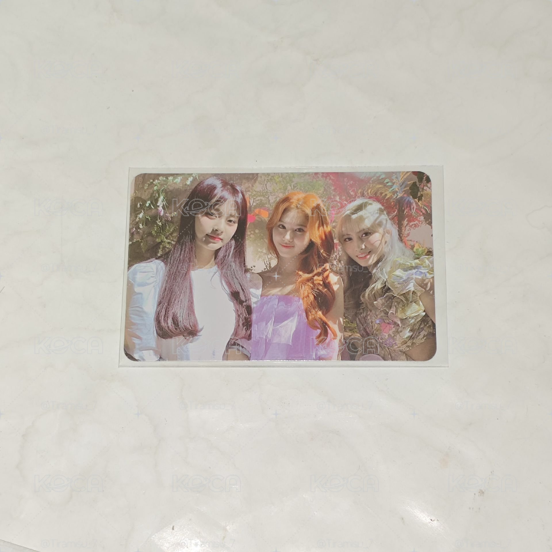 more&more小分隊卡