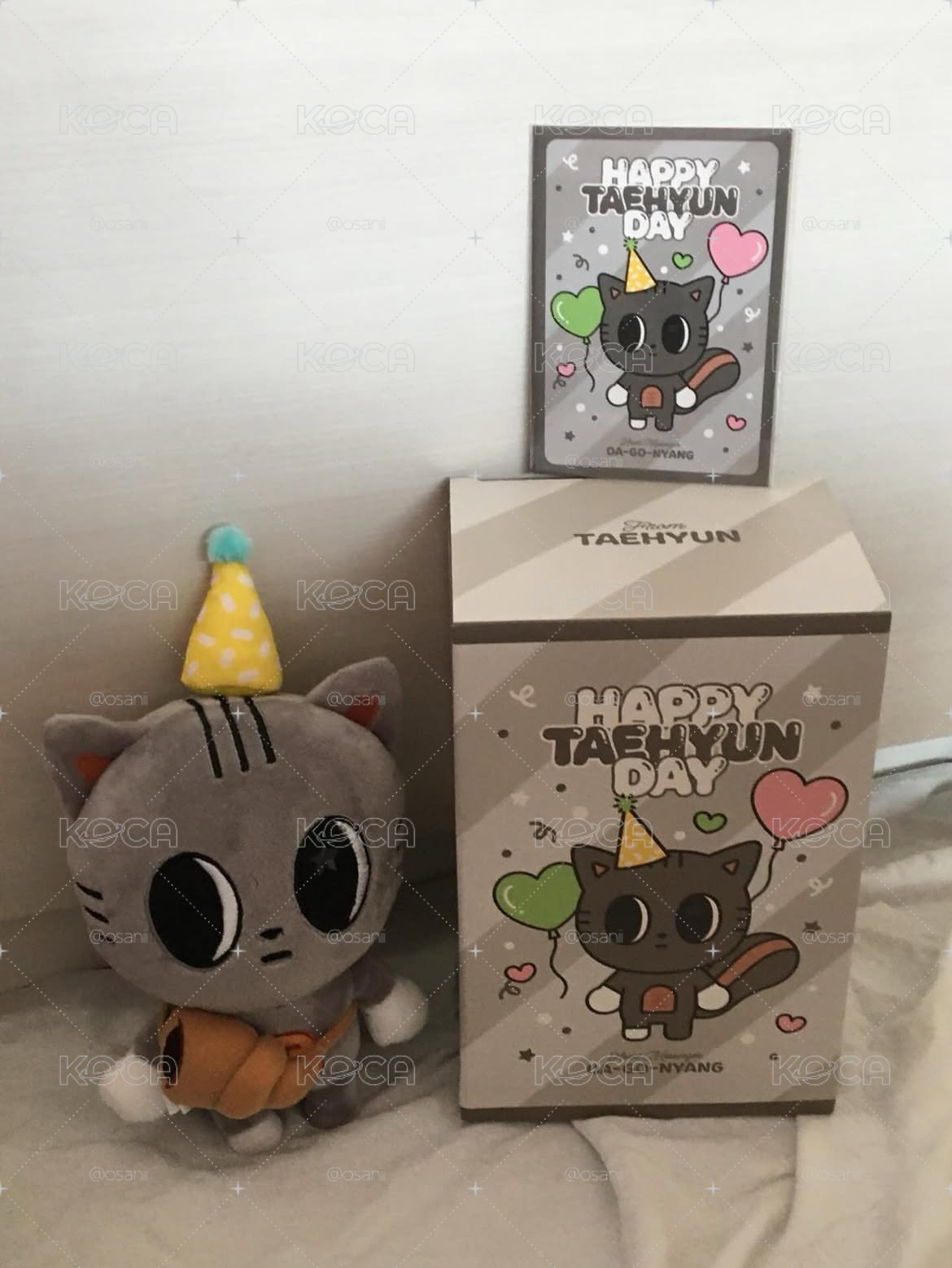 生日松喵(=^x^=)