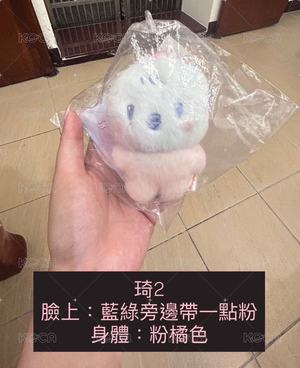 混色寶寶琦2號