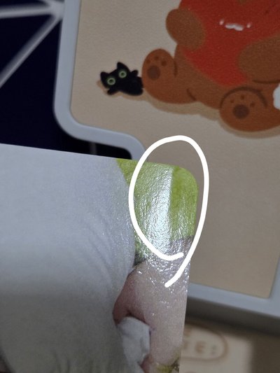 傘