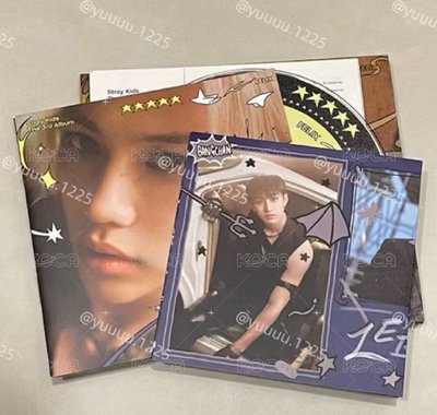 SKZ盤