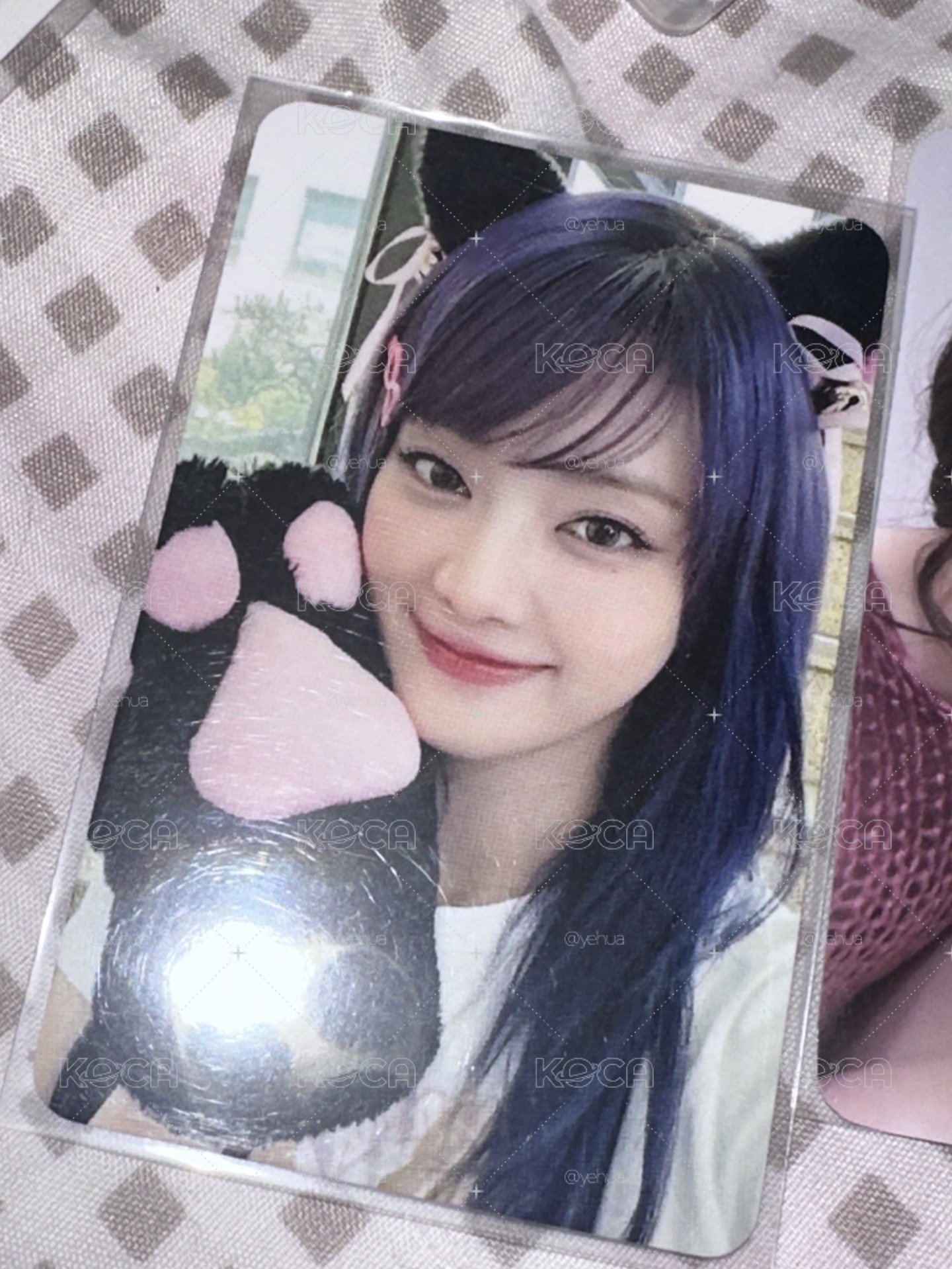 貓抓妮