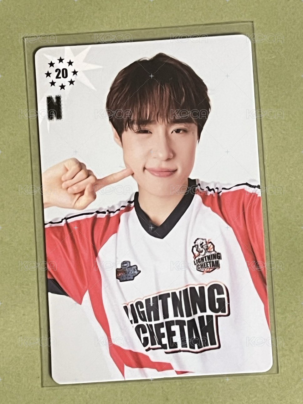 Nut（英文）