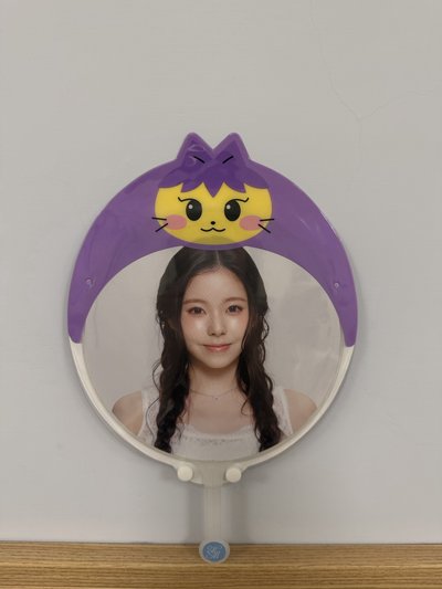 FM圭扇+扇套 僅拆擺 雙辮子圭 扇面色調很好 演唱會必備讓🐱找到你 打卡也好看