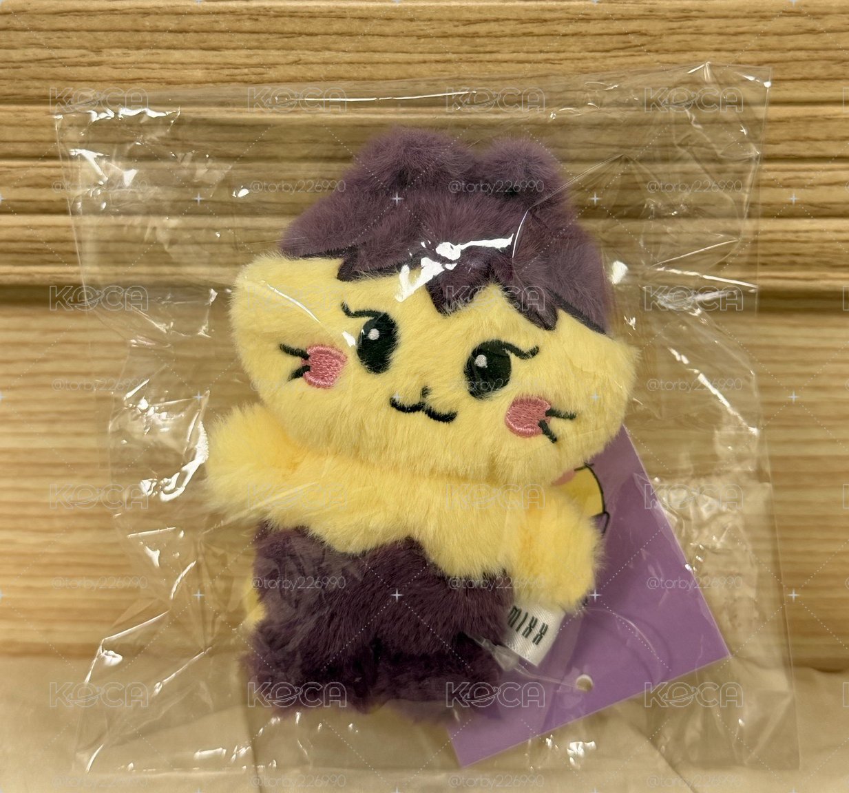 圭大娃 僅拆擺 原袋吊牌保留完整 讓🐱陪你去看演唱會～