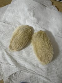 曹GD