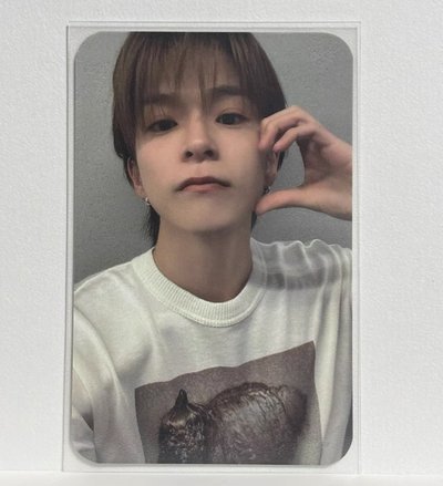 賓果薩