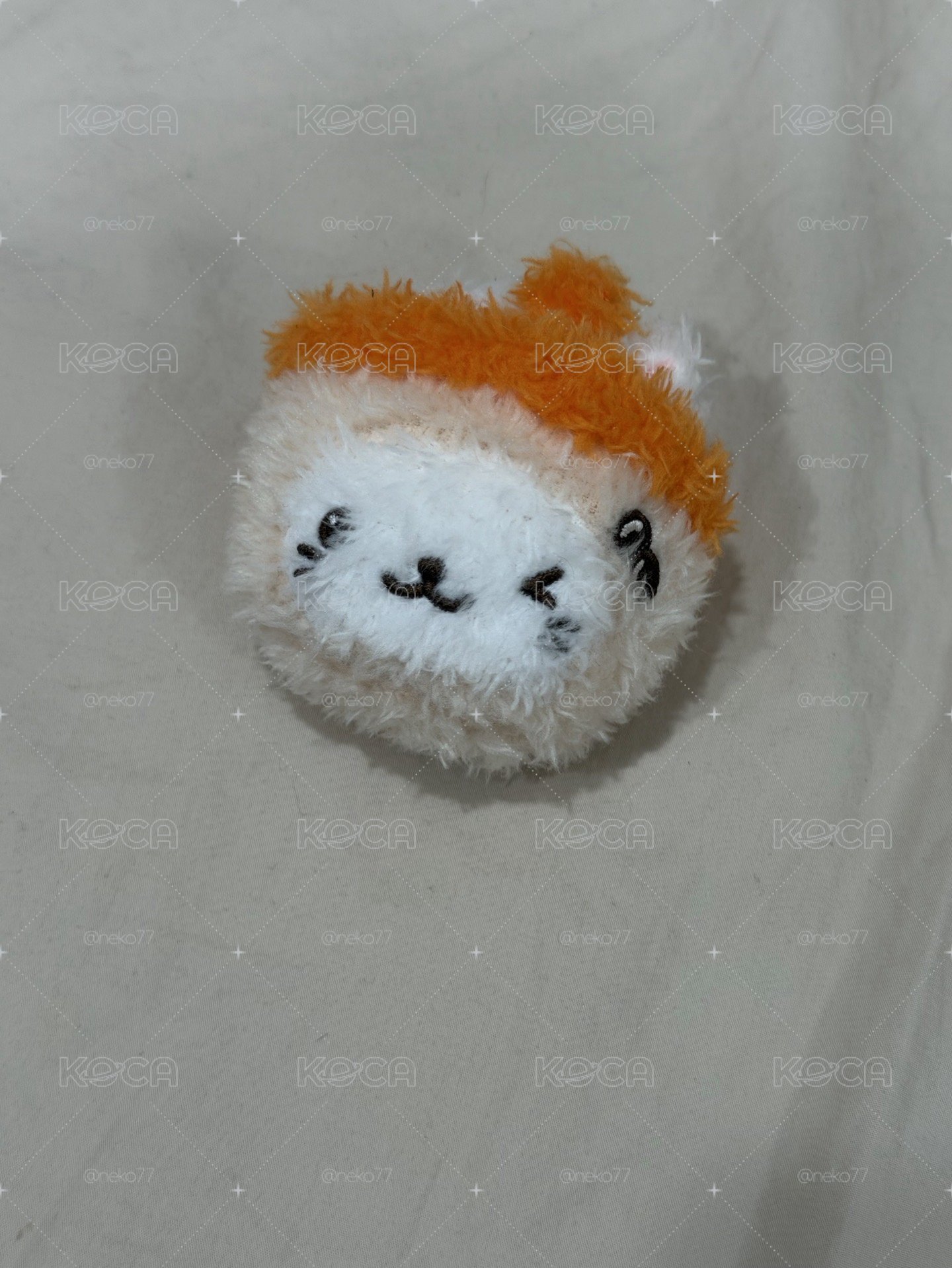 糰子🐈