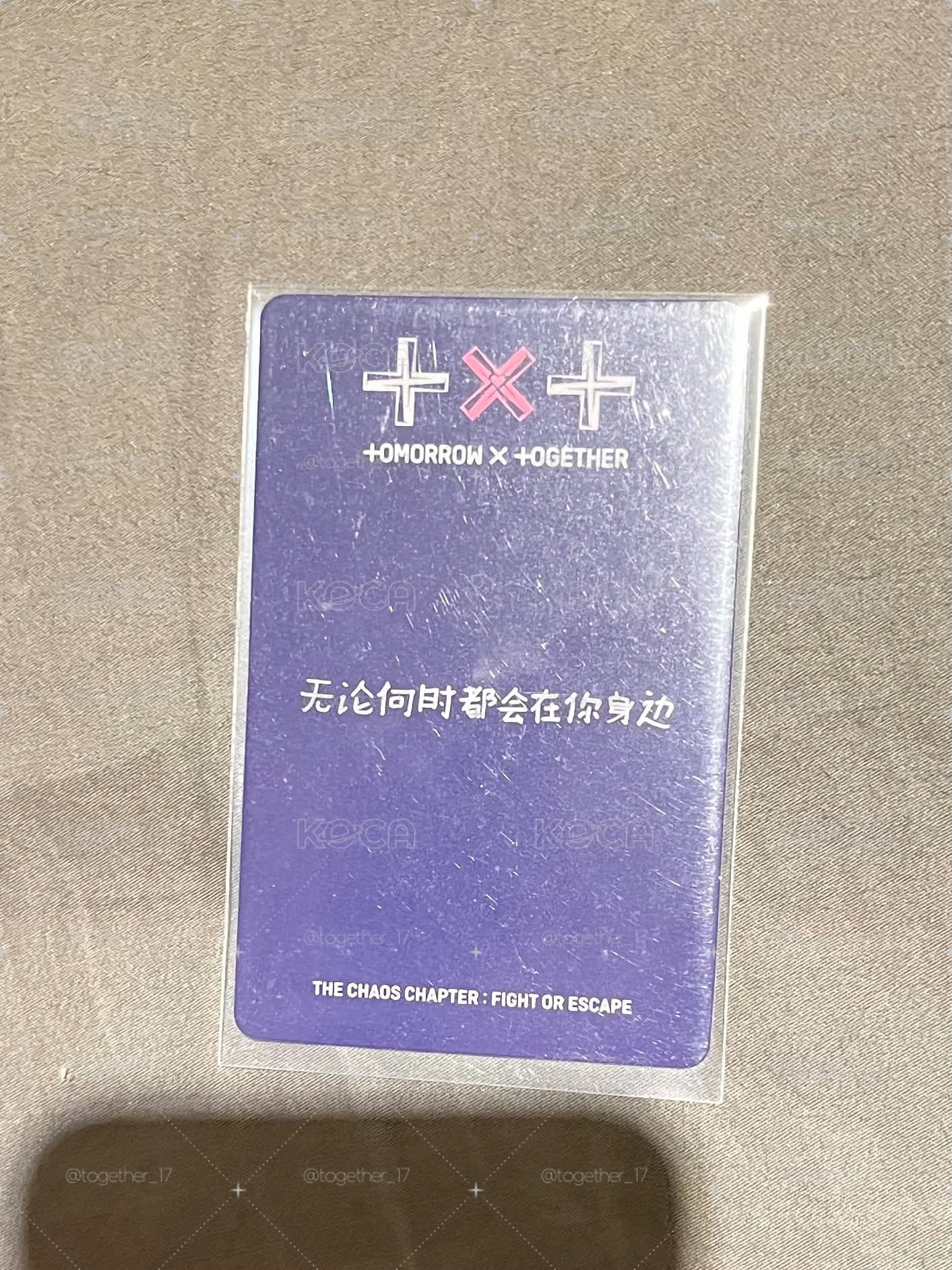 🐹彬中背（無論何時都會在你身邊）