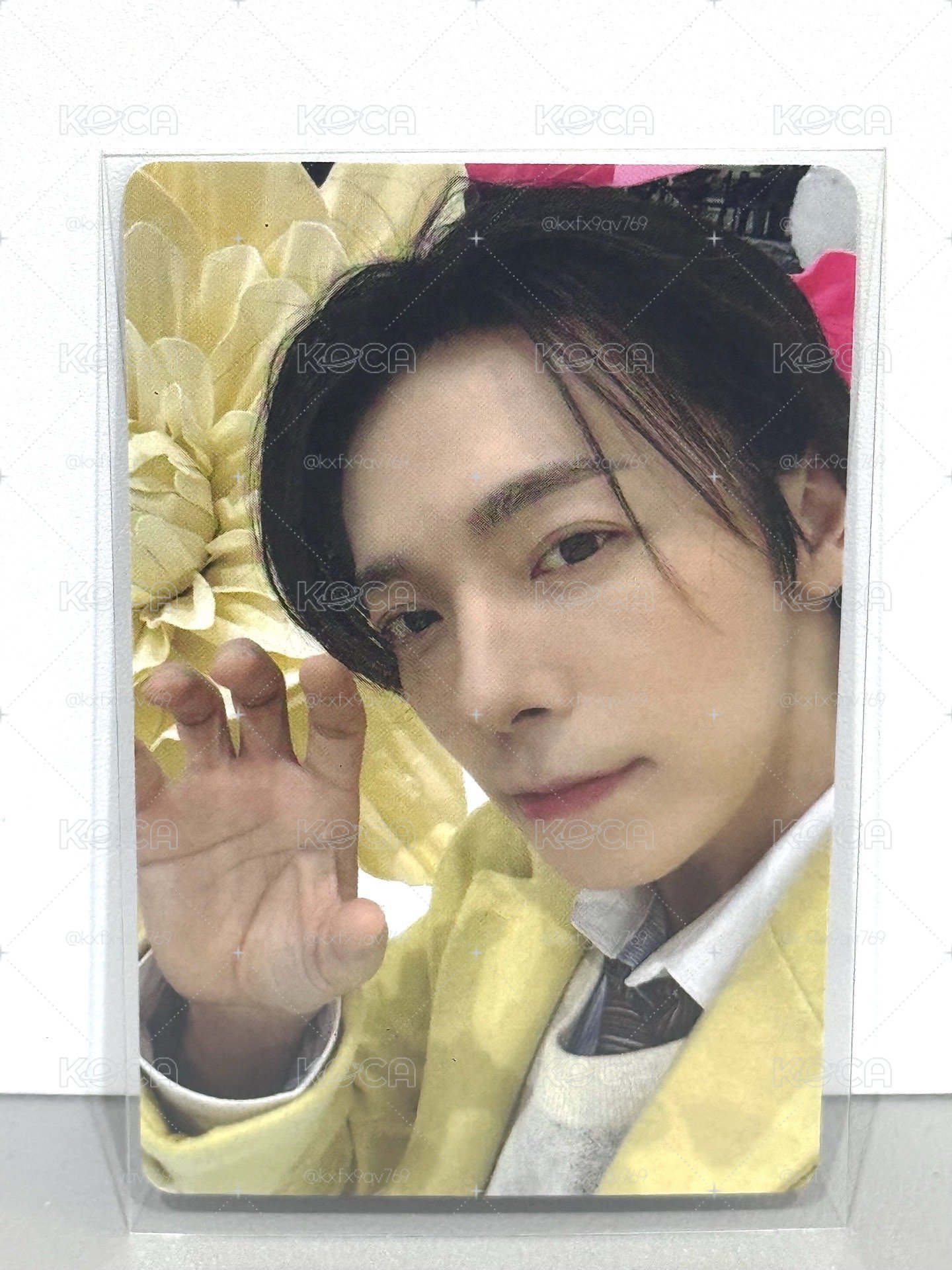 DONGHAE｜專卡