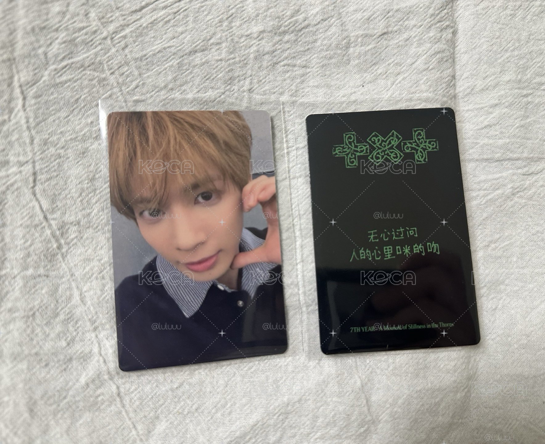 TXT 姜太顯 yzy中背一張