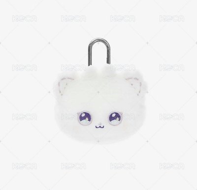 Search image