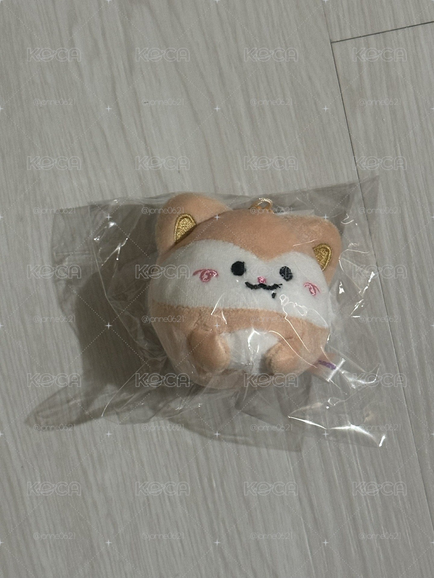 圓滾滾領