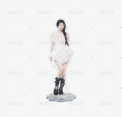 預購 NMIXX 日巡周邊
