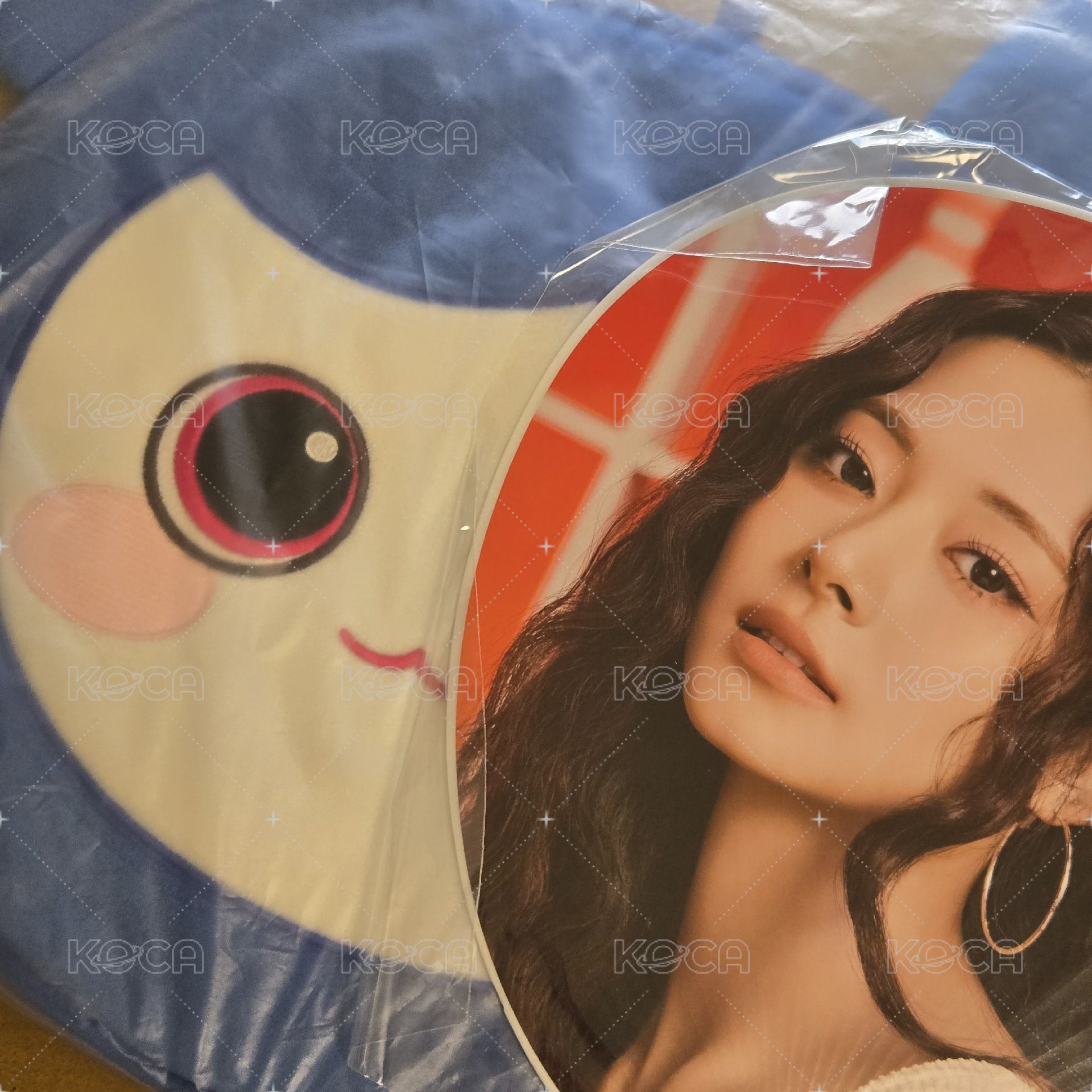 子瑜扇套+新國立扇子