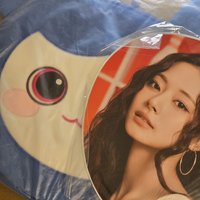 子瑜扇套+新國立扇子