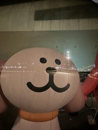 kimi