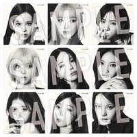 Portfolio 7net 預售特典