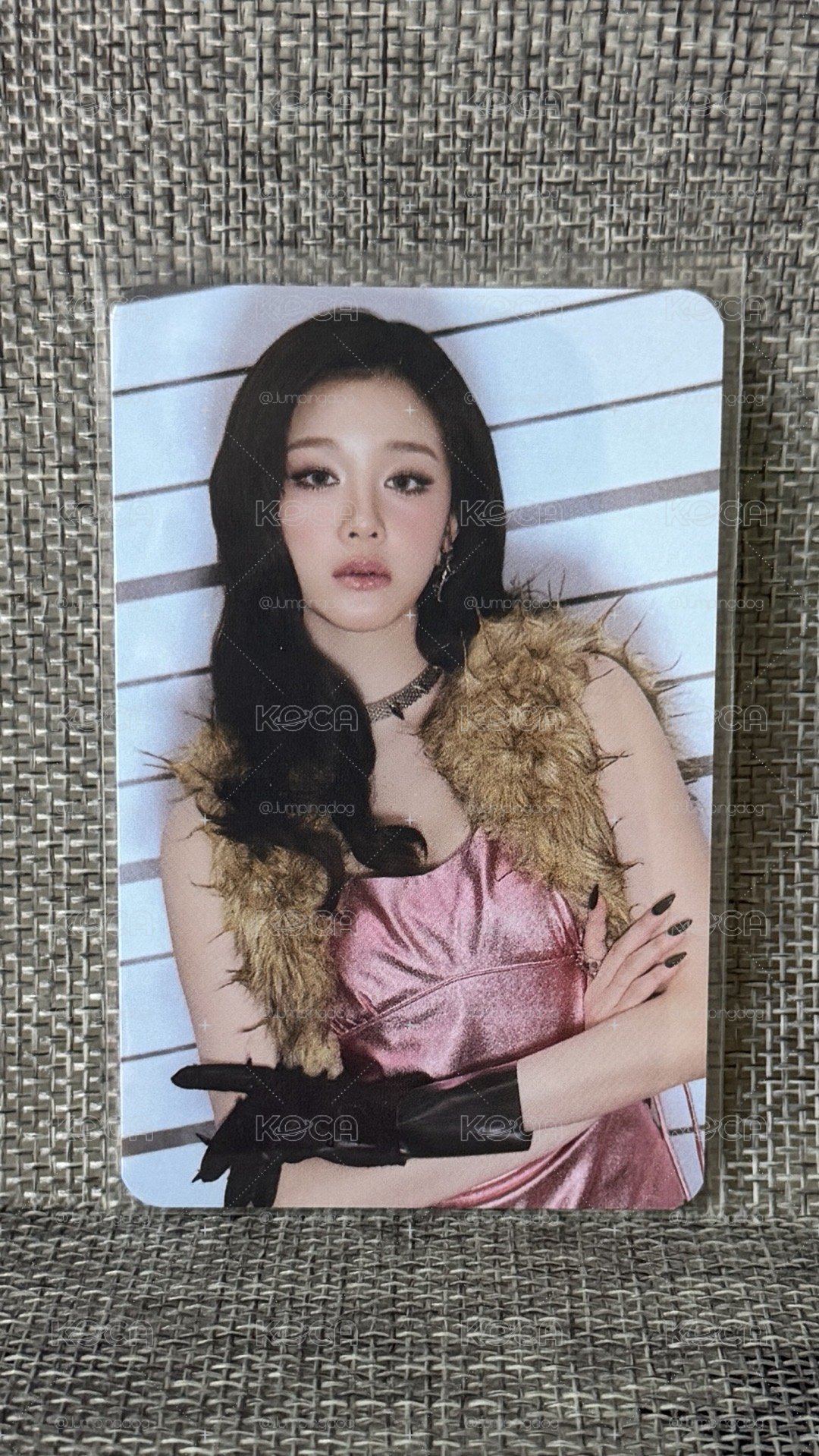 Pharita CHOOM快閃 卡包卡