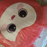 彩瑛扇套
