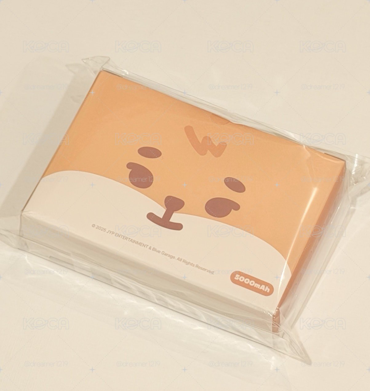 🦊 Ke 行動電源