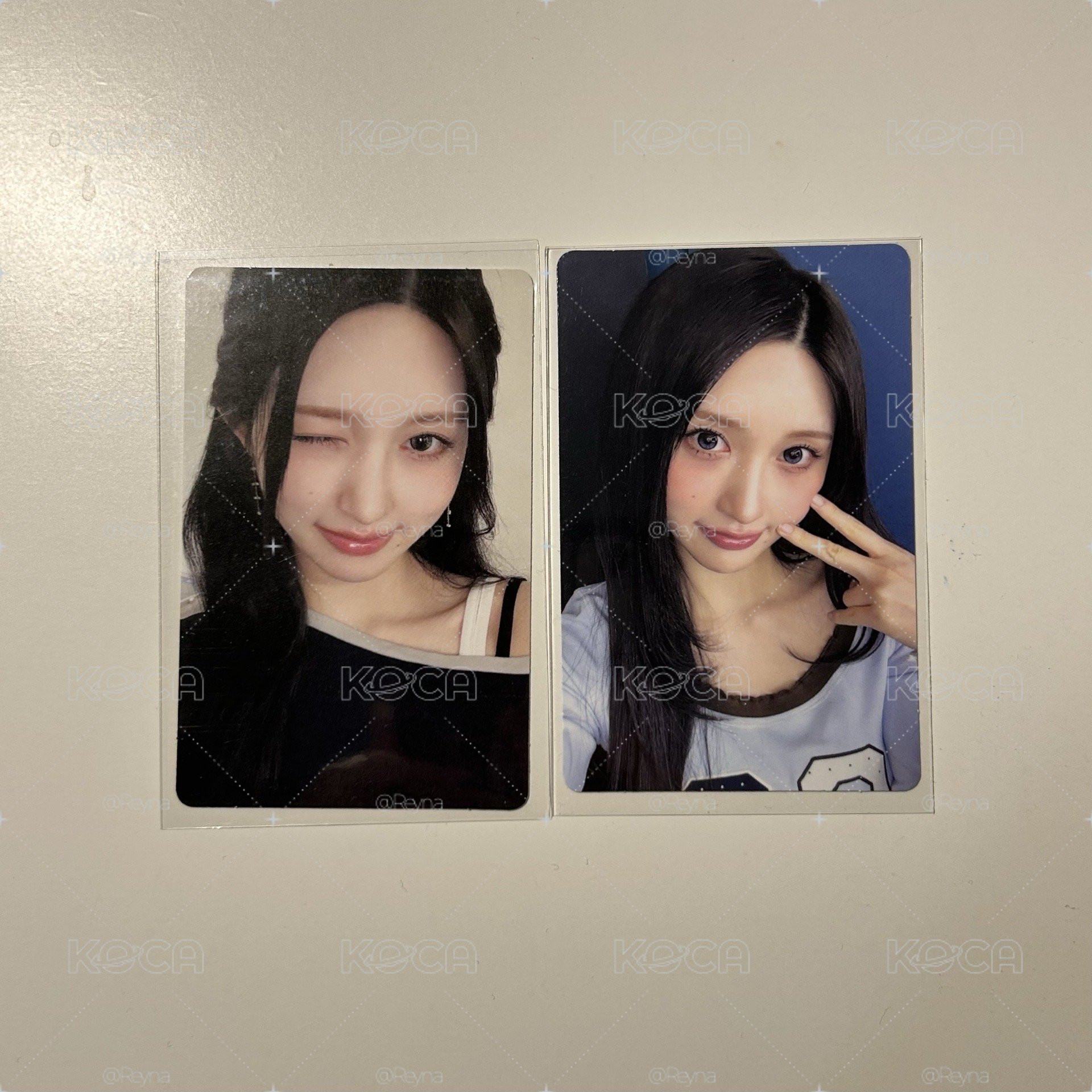 秋秋簽售卡