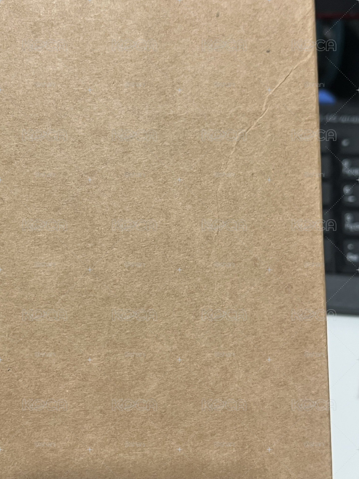秋D社雜誌 B版