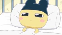 包手