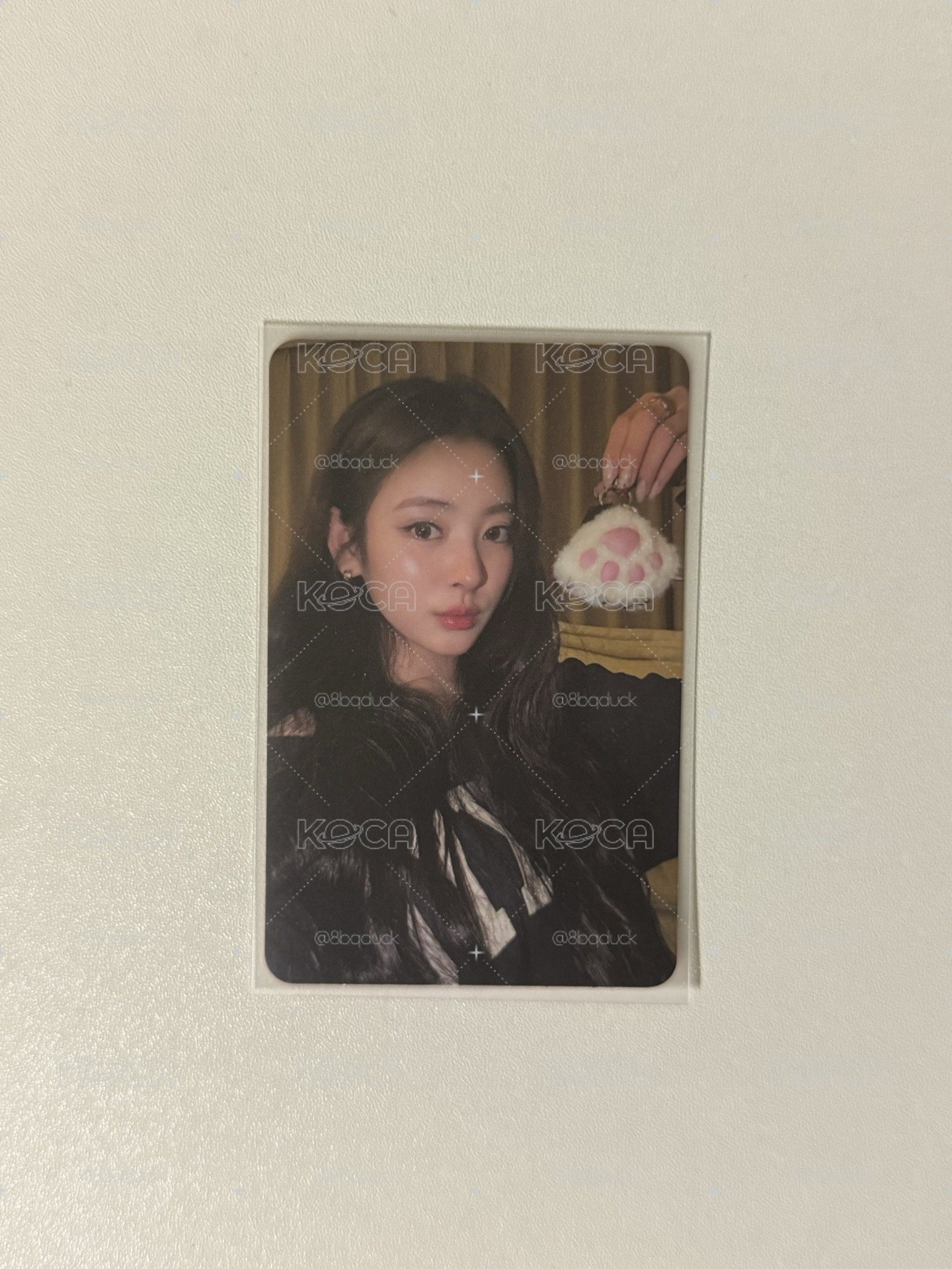 Anna小卡