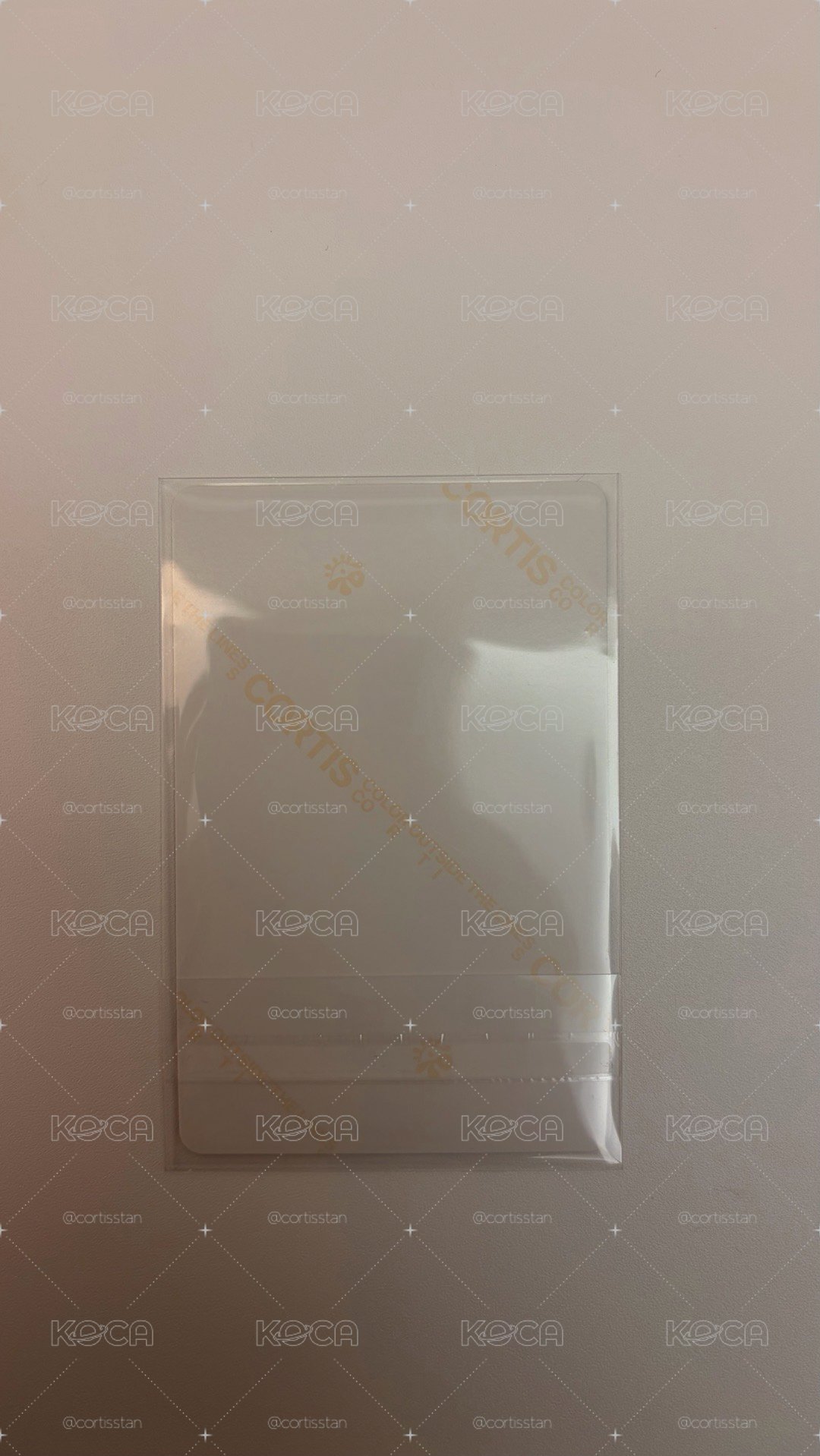 迷一 wvs 專輯卡 電子專 B ver. 嚴 現貨