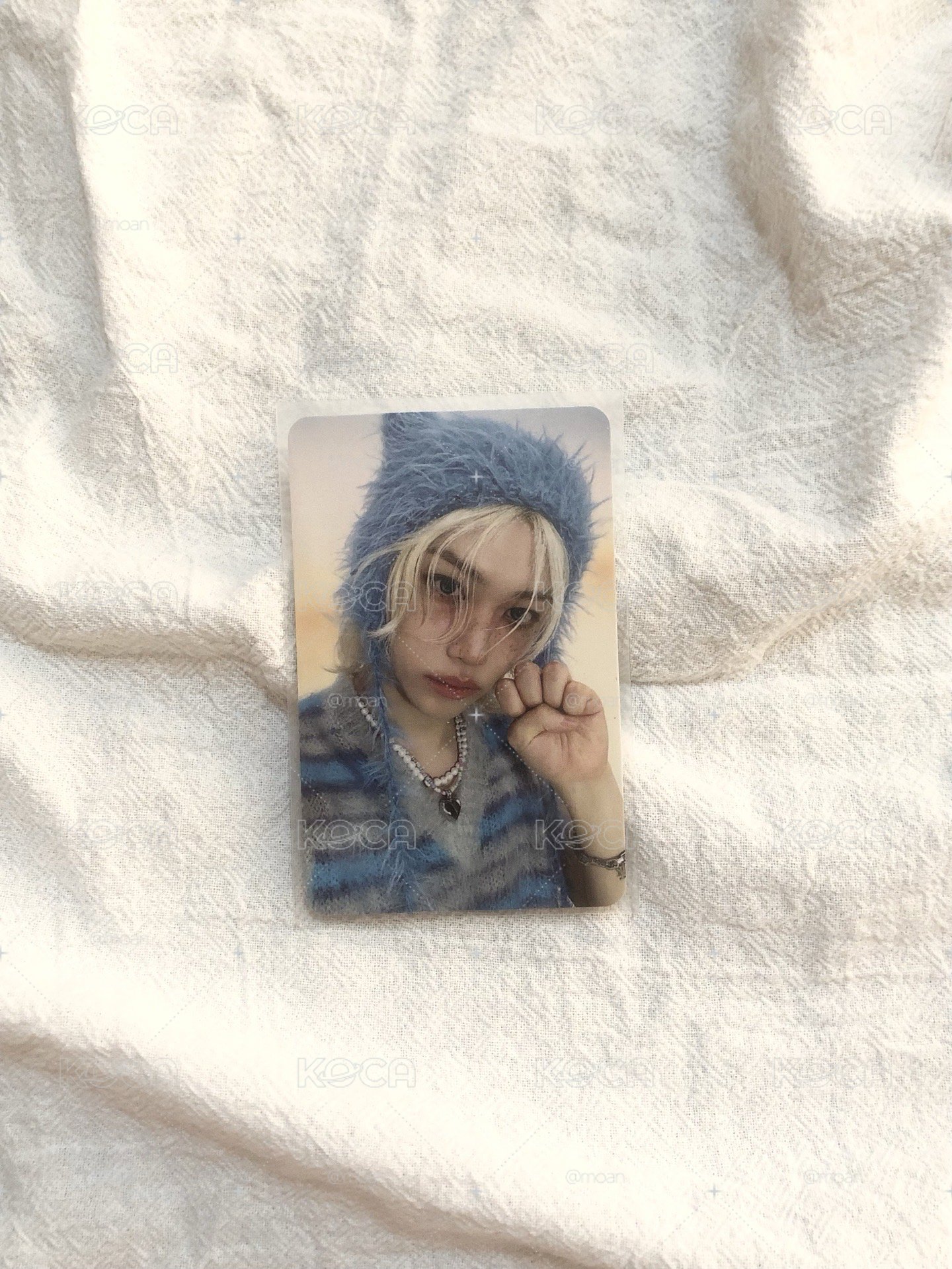 貓爪菲 