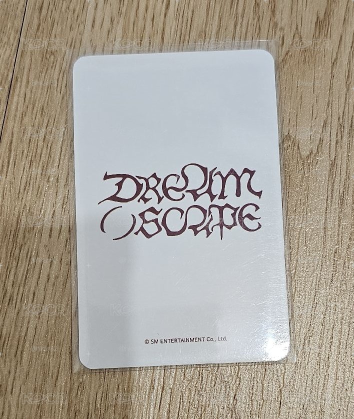 NCT DREAM DREAM( )SCAPE JISUNG
