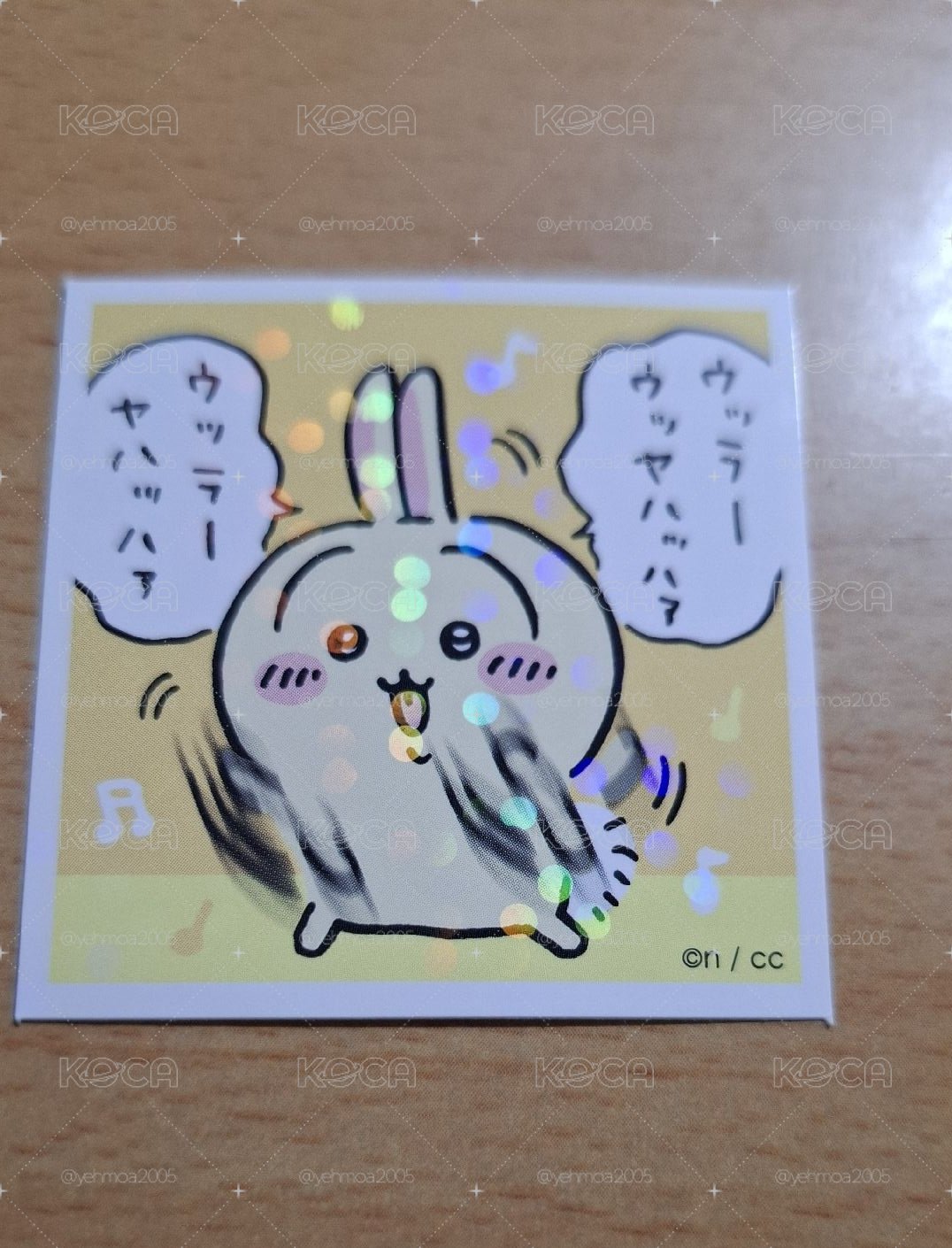 興奮的兔