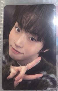 樹迷四