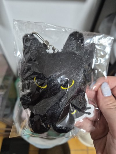 solo亞巡2 娃娃玩偶 藝貓