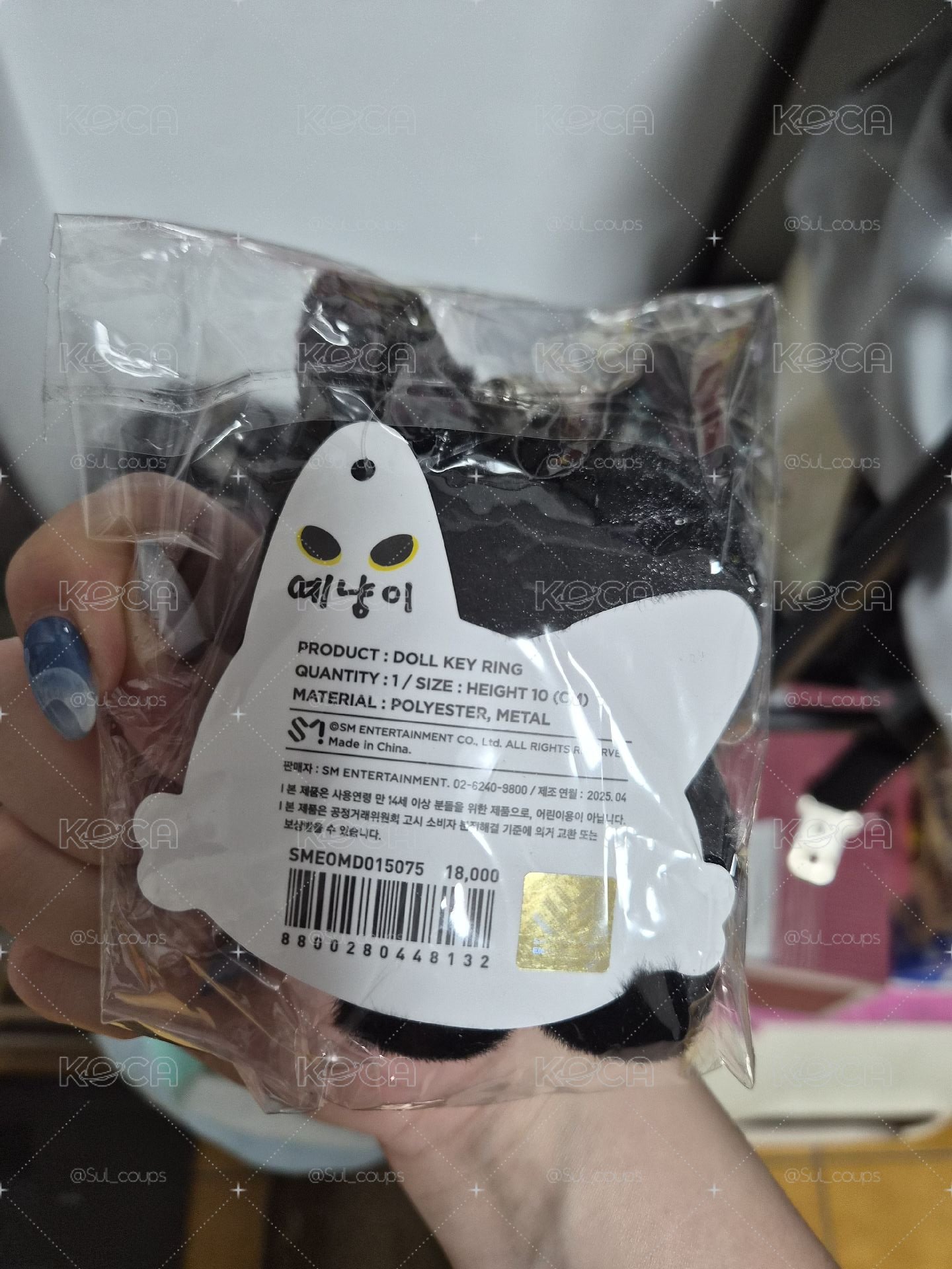 solo亞巡2 娃娃玩偶 藝貓
