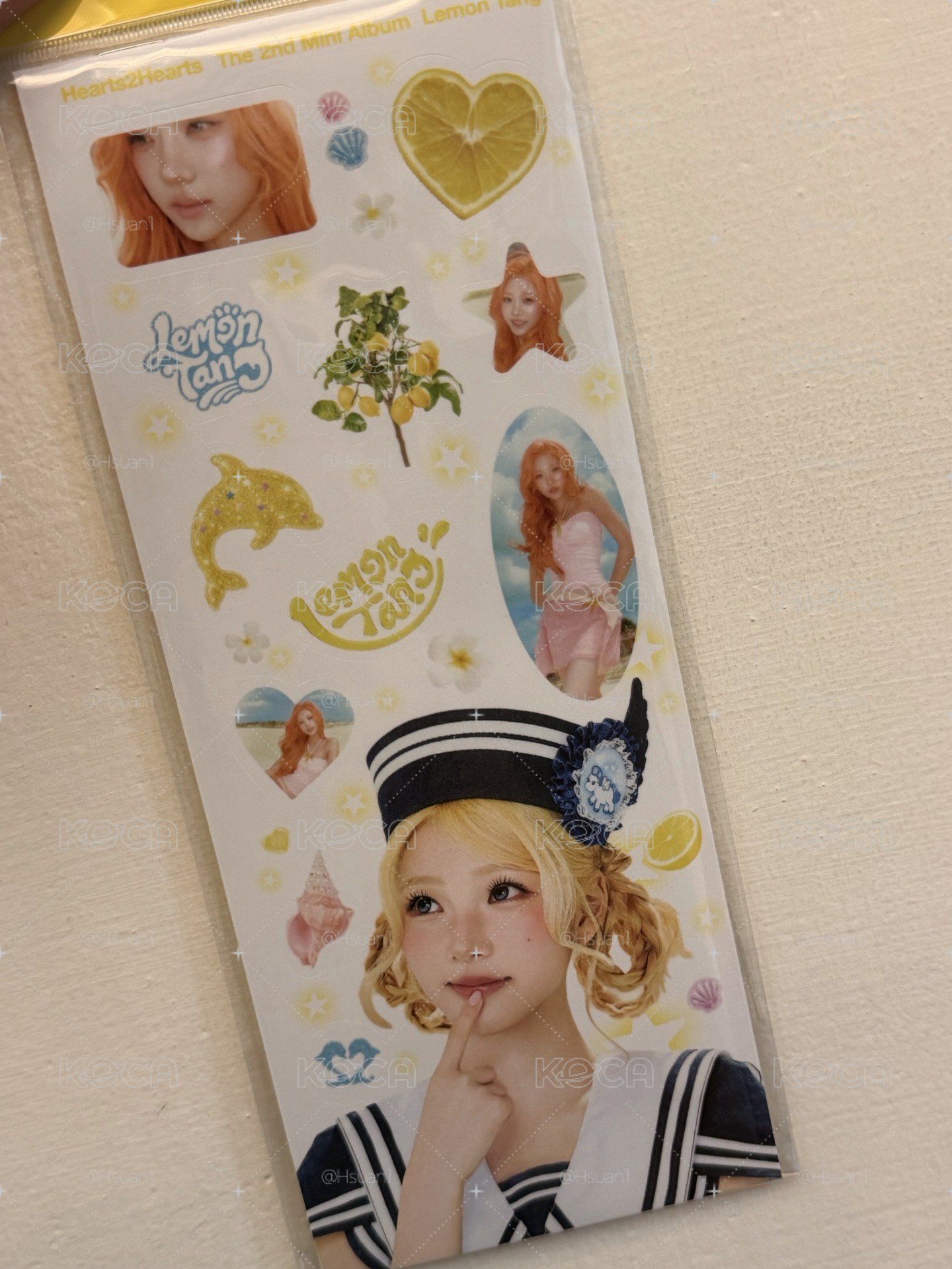 Stella 貼紙未拆專 現貨