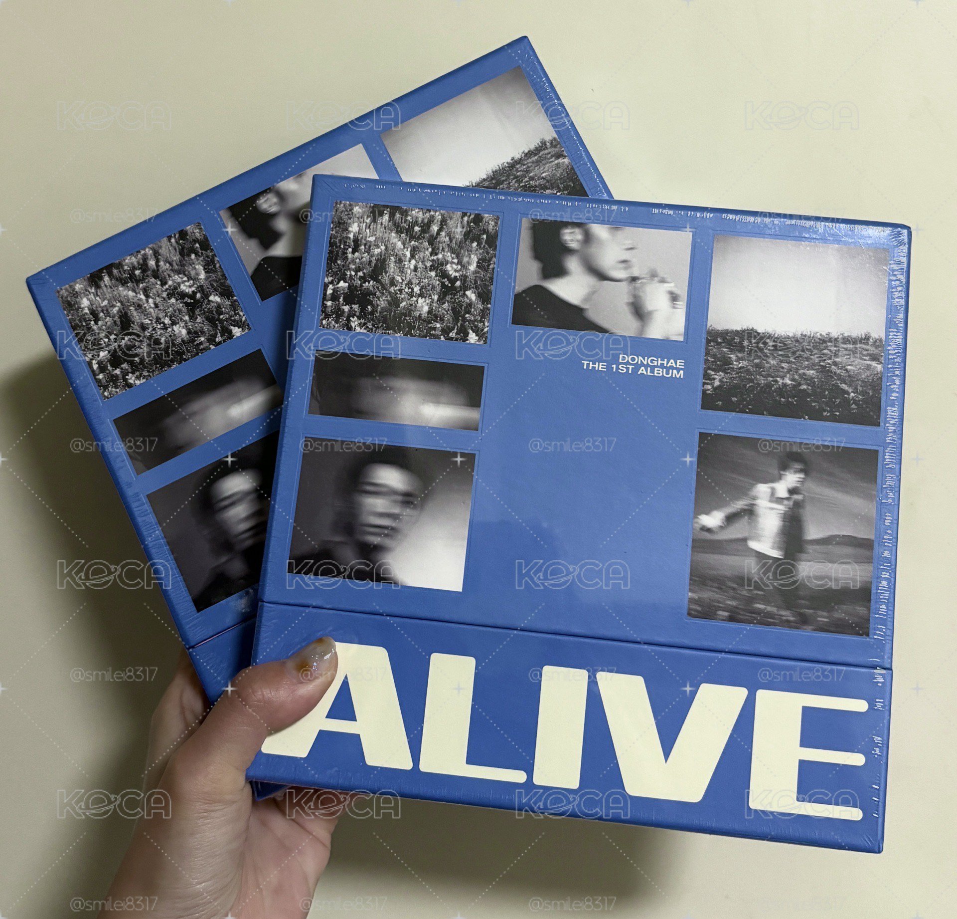 東海 ALIVE PB專輯 全新未拆