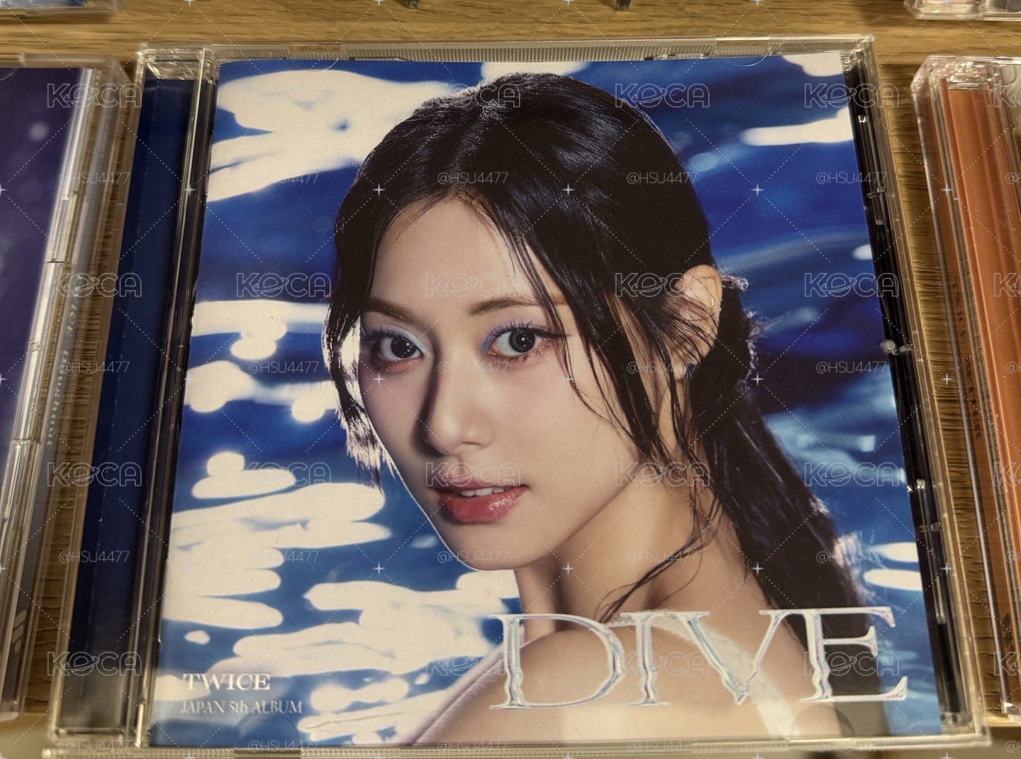 🐟DIVE 空專🏊