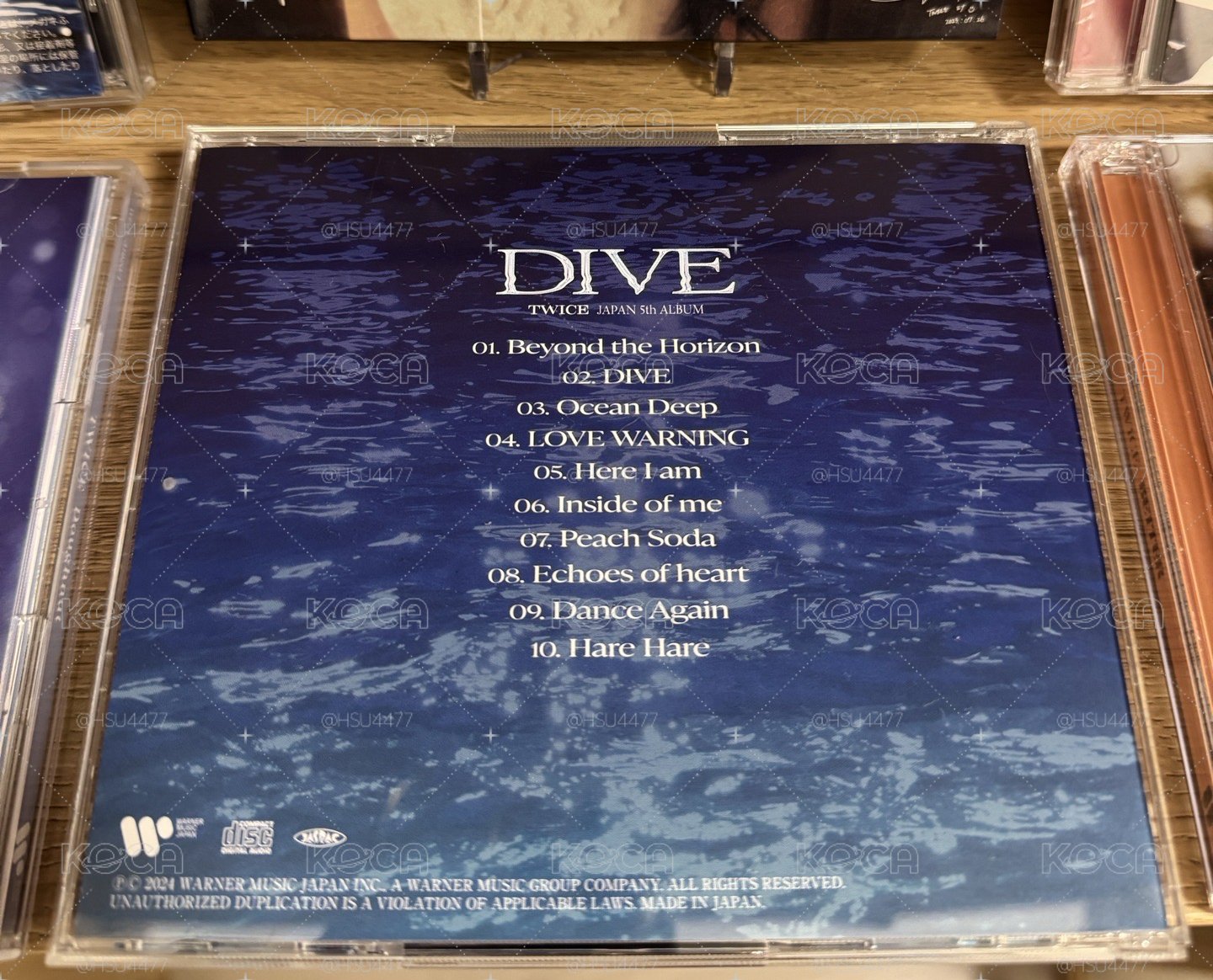 🐟DIVE 🏊