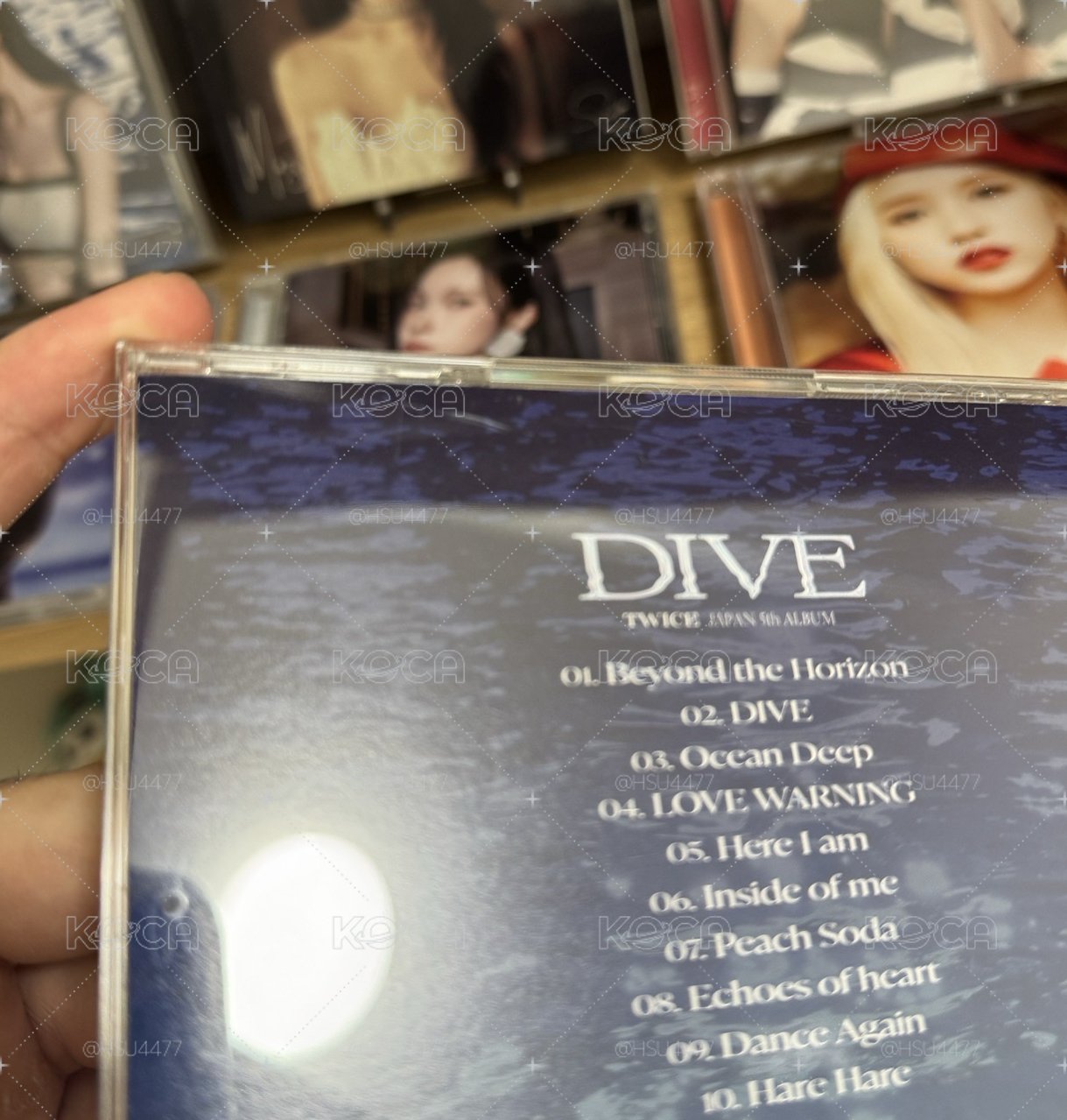 🐟DIVE 🏊