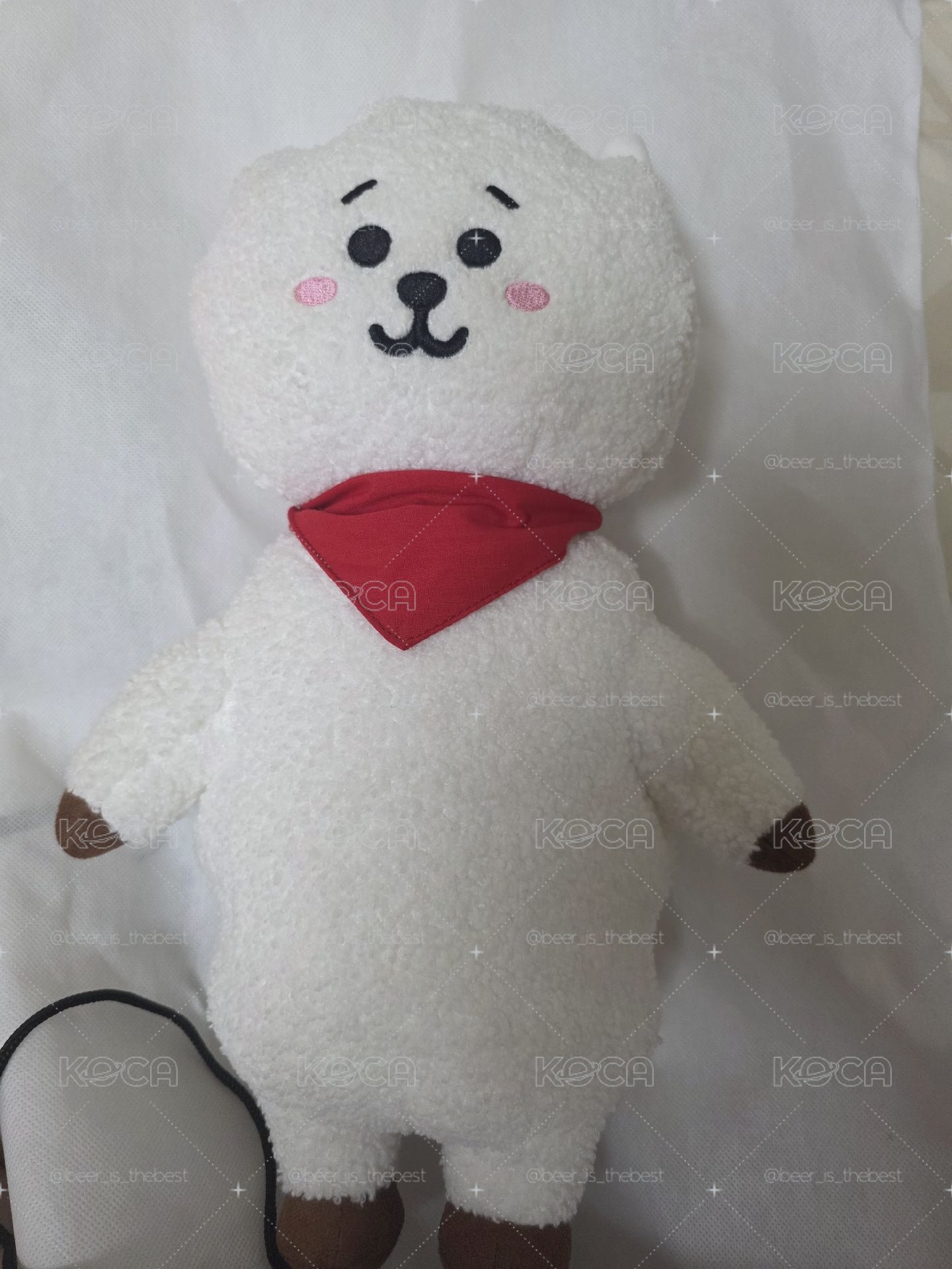 BT21 RJ Plush doll M號站娃 